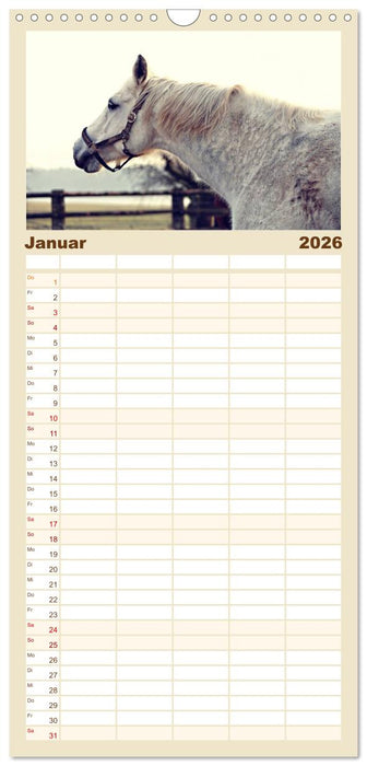Pferde - kraftvolle Eleganz (CALVENDO Familienplaner 2026)