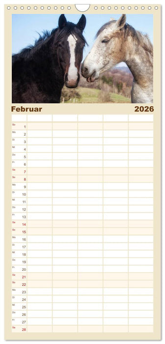Pferde - kraftvolle Eleganz (CALVENDO Familienplaner 2026)
