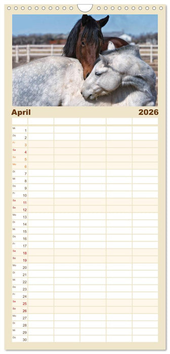 Pferde - kraftvolle Eleganz (CALVENDO Familienplaner 2026)