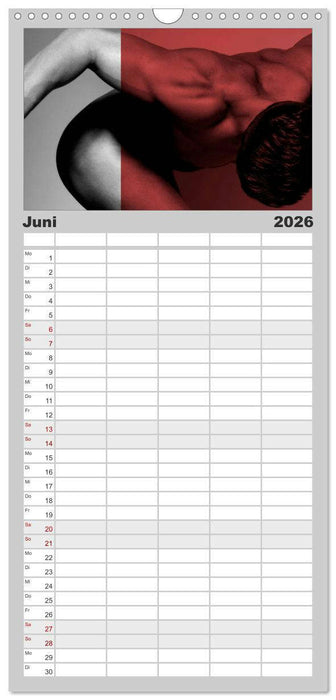 Naked men behind the colors – Ästhetische Aktfotografien (CALVENDO Familienplaner 2026)
