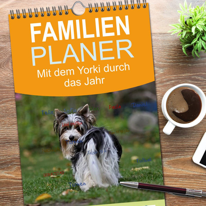 Mit dem Yorki durch das Jahr (CALVENDO Familienplaner 2026)
