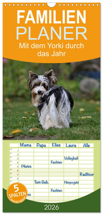 Mit dem Yorki durch das Jahr (CALVENDO Familienplaner 2026)