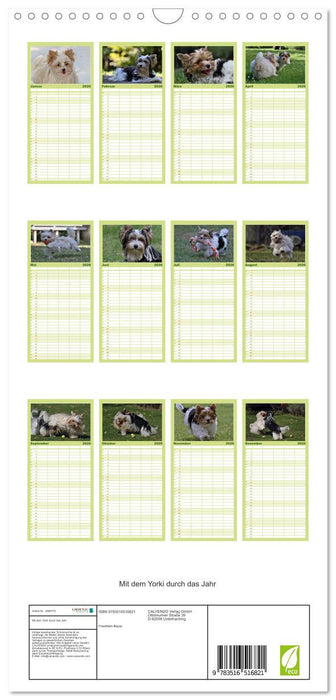Mit dem Yorki durch das Jahr (CALVENDO Familienplaner 2026)