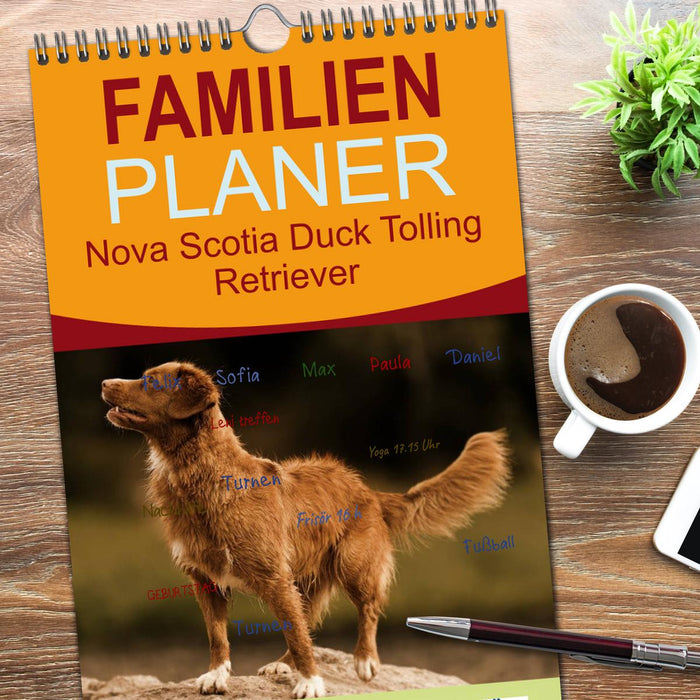 Nova Scotia Duck Tolling Retriever (CALVENDO Familienplaner 2026)