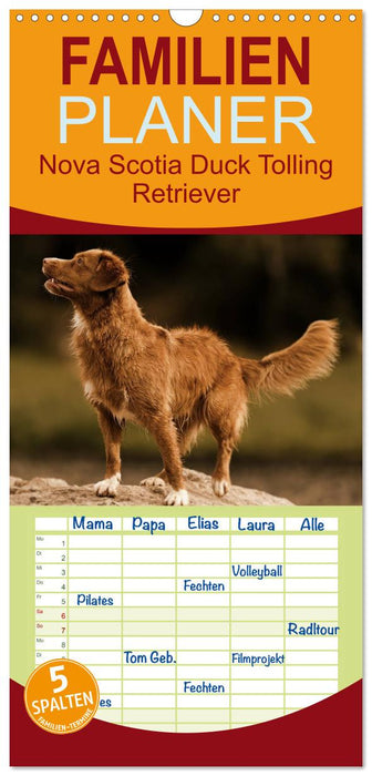 Nova Scotia Duck Tolling Retriever (CALVENDO Familienplaner 2026)