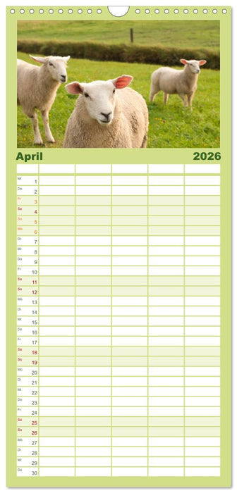 Hallig Hooge - zwischen Himmel und Erde (CALVENDO Familienplaner 2026)