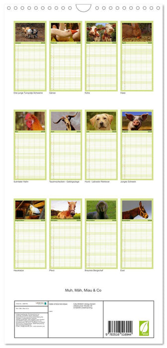 Muh, Mäh, Miau & Co (CALVENDO Familienplaner 2026)