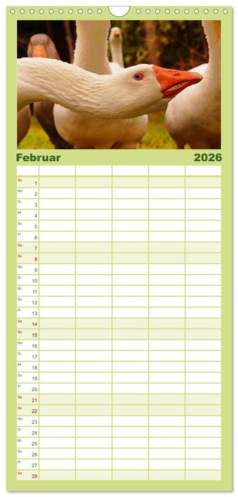 Muh, Mäh, Miau & Co (CALVENDO Familienplaner 2026)