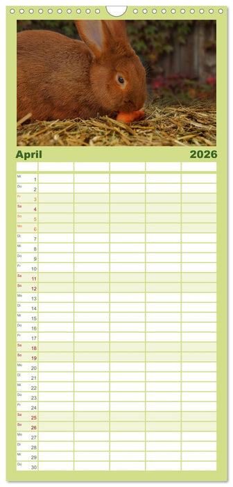 Muh, Mäh, Miau & Co (CALVENDO Familienplaner 2026)