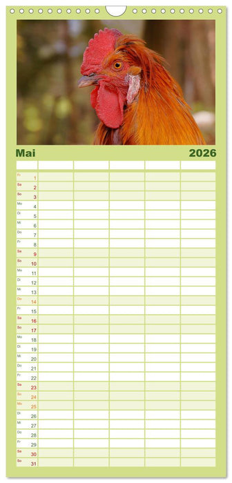 Muh, Mäh, Miau & Co (CALVENDO Familienplaner 2026)