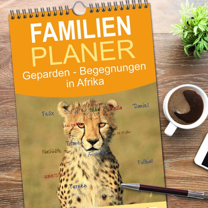 Geparden - Begegnungen in Afrika (CALVENDO Familienplaner 2026)