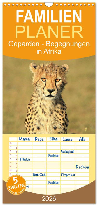 Geparden - Begegnungen in Afrika (CALVENDO Familienplaner 2026)