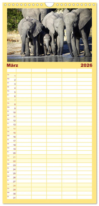 Elefanten in Afrika (CALVENDO Familienplaner 2026)