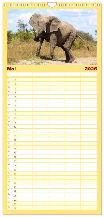 Elefanten in Afrika (CALVENDO Familienplaner 2026)