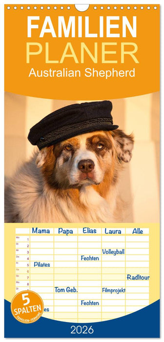 Australian Shepherd (CALVENDO Familienplaner 2026)