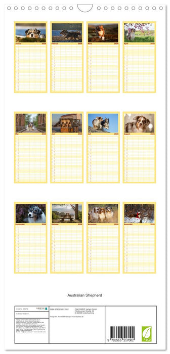 Australian Shepherd (CALVENDO Familienplaner 2026)