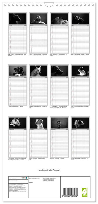 Hundeportraits Fine Art (CALVENDO Familienplaner 2026)
