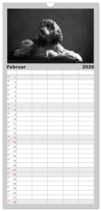 Hundeportraits Fine Art (CALVENDO Familienplaner 2026)