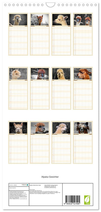 Alpaka Gesichter (CALVENDO Familienplaner 2026)