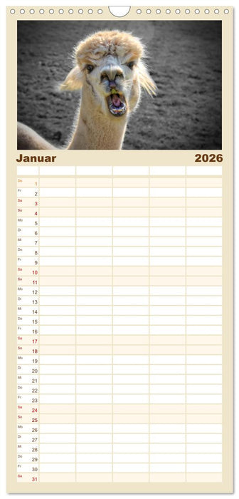 Alpaka Gesichter (CALVENDO Familienplaner 2026)
