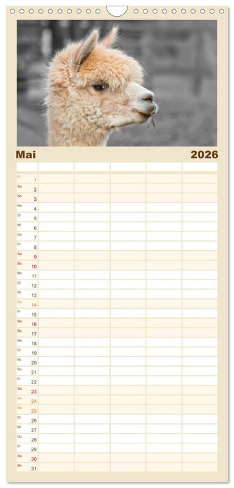 Alpaka Gesichter (CALVENDO Familienplaner 2026)