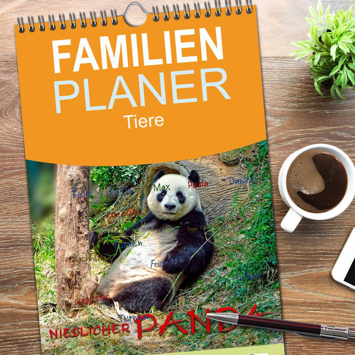 Niedlicher Panda (CALVENDO Familienplaner 2026)