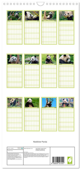 Niedlicher Panda (CALVENDO Familienplaner 2026)