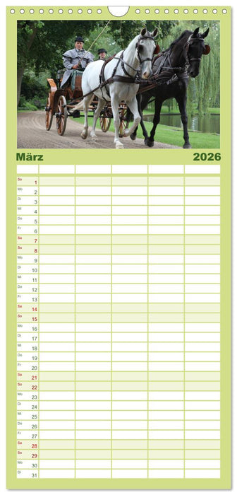 CIAT - Historischer Fahrsport in Celle (CALVENDO Familienplaner 2026)