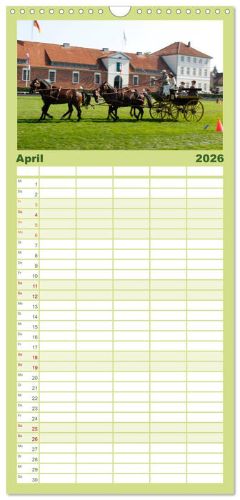 CIAT - Historischer Fahrsport in Celle (CALVENDO Familienplaner 2026)