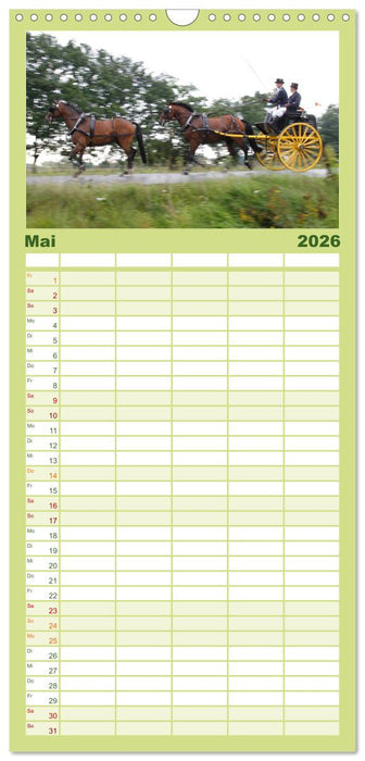 CIAT - Historischer Fahrsport in Celle (CALVENDO Familienplaner 2026)