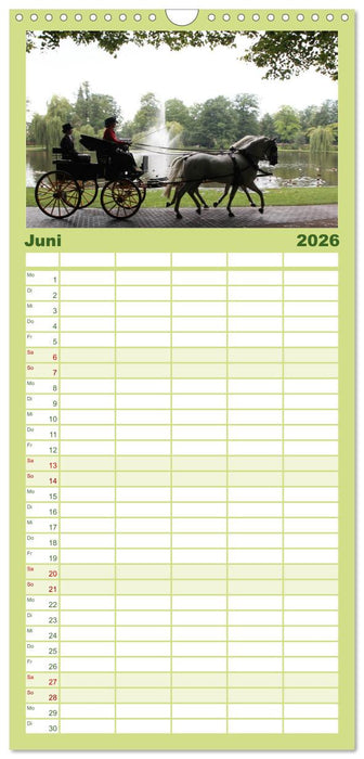 CIAT - Historischer Fahrsport in Celle (CALVENDO Familienplaner 2026)