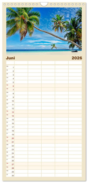 Strände wie ein Traum (CALVENDO Familienplaner 2026)