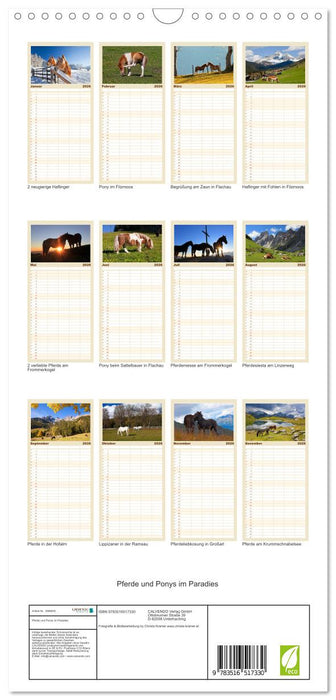 Pferde und Ponys im Paradies (CALVENDO Familienplaner 2026)