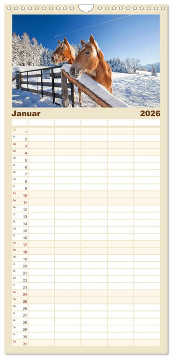 Pferde und Ponys im Paradies (CALVENDO Familienplaner 2026)