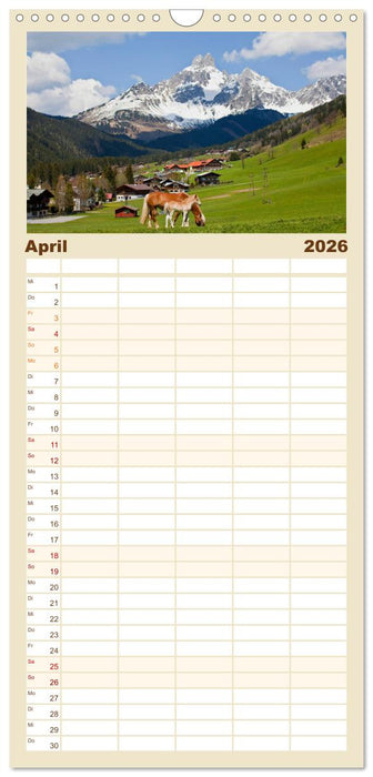 Pferde und Ponys im Paradies (CALVENDO Familienplaner 2026)