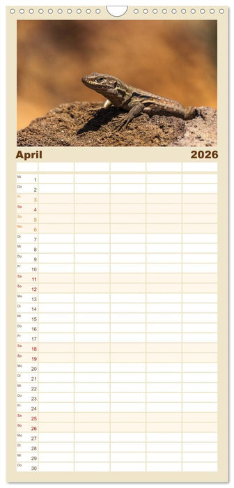 Teneriffa - Inmitten des Atlantischen Archipels (CALVENDO Familienplaner 2026)