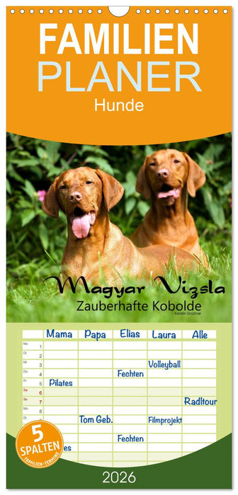 Magyar Vizsla - Zauberhafte Kobolde (CALVENDO Familienplaner 2026)
