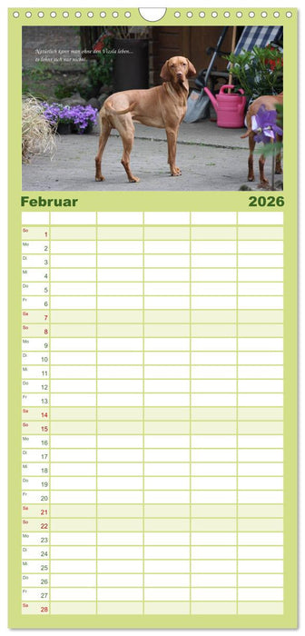 Magyar Vizsla - Zauberhafte Kobolde (CALVENDO Familienplaner 2026)