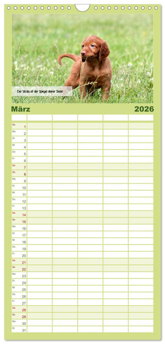 Magyar Vizsla - Zauberhafte Kobolde (CALVENDO Familienplaner 2026)