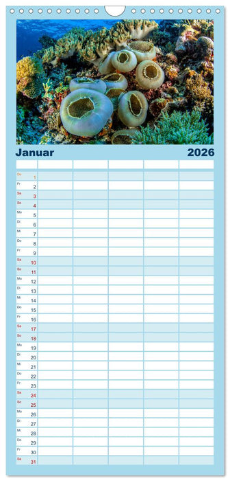 Korallen-Riffe Taucherträume (CALVENDO Familienplaner 2026)