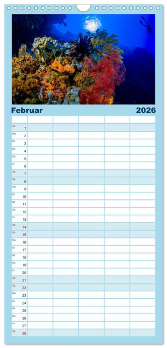 Korallen-Riffe Taucherträume (CALVENDO Familienplaner 2026)