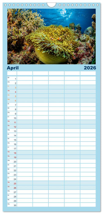 Korallen-Riffe Taucherträume (CALVENDO Familienplaner 2026)