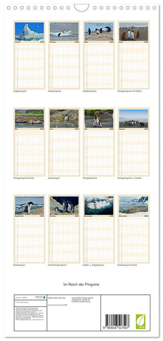 Im Reich der Pinguine (CALVENDO Familienplaner 2026)