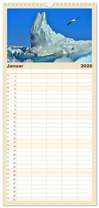 Im Reich der Pinguine (CALVENDO Familienplaner 2026)