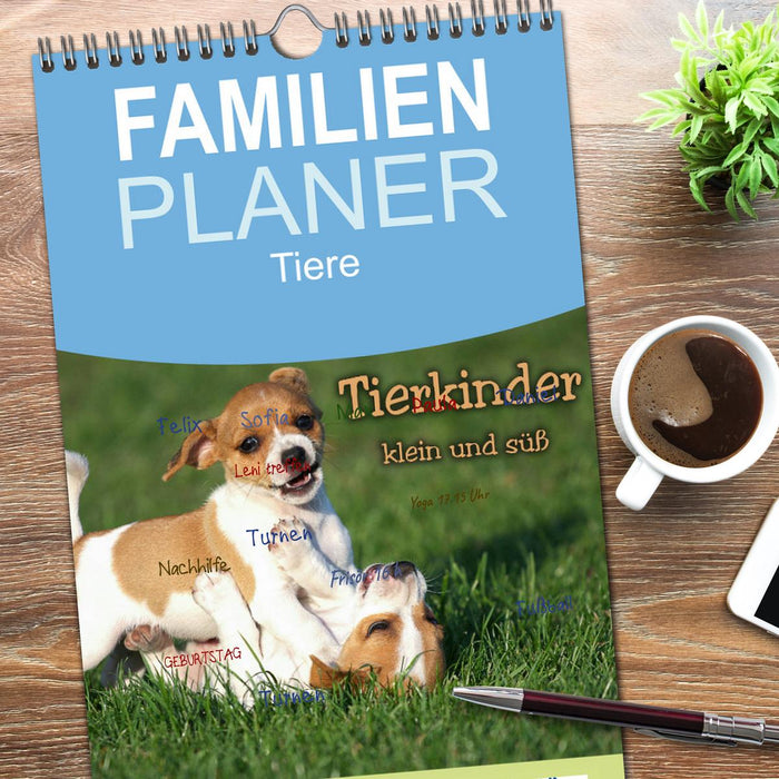 Tierkinder klein und süß (CALVENDO Familienplaner 2026)