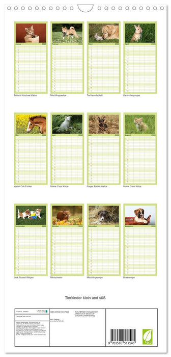 Tierkinder klein und süß (CALVENDO Familienplaner 2026)