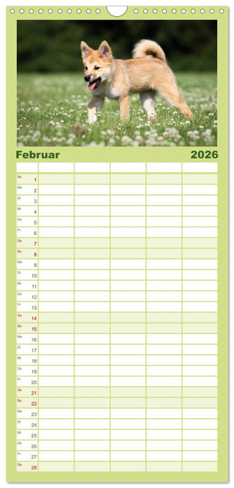 Tierkinder klein und süß (CALVENDO Familienplaner 2026)