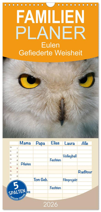 Eulen. Gefiederte Weisheit (CALVENDO Familienplaner 2026)