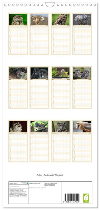 Eulen. Gefiederte Weisheit (CALVENDO Familienplaner 2026)