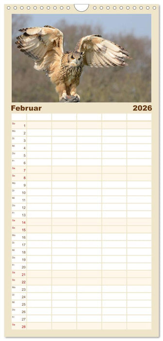 Eulen. Gefiederte Weisheit (CALVENDO Familienplaner 2026)
